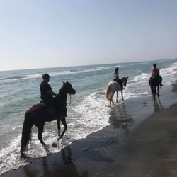 Equestrian Italy - Discover the countryside of Rome with riding tours and many things to do in the countryside with fun and relax during your holidays in Italy
