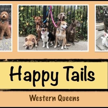 Happy Tails - Logo - Dog Walkers Near Me Happy Tails - Logo - Dog Walkers Near Me