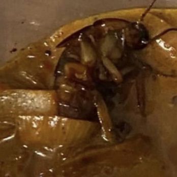 B & L Wings - Chicken Wings Near Me - Atlanta, Georgia B & L Wings - Chicken Wings Near Me - Atlanta, Georgia