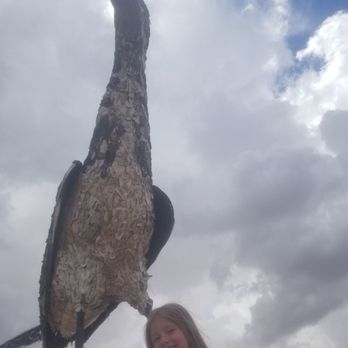 Scenic Overlook Rest Area - Check out the feathers made of flattened tennis shoes! - Rest Stops Near Me - Las Cruces, New Mexico Scenic Overlook Rest Area - Check out the feathers made of flattened tennis shoes! - Rest Stops Near Me - Las Cruces, New Mexico