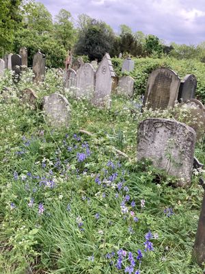 Brompton Cemetery by null