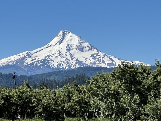 Double Mountain Brewery by null