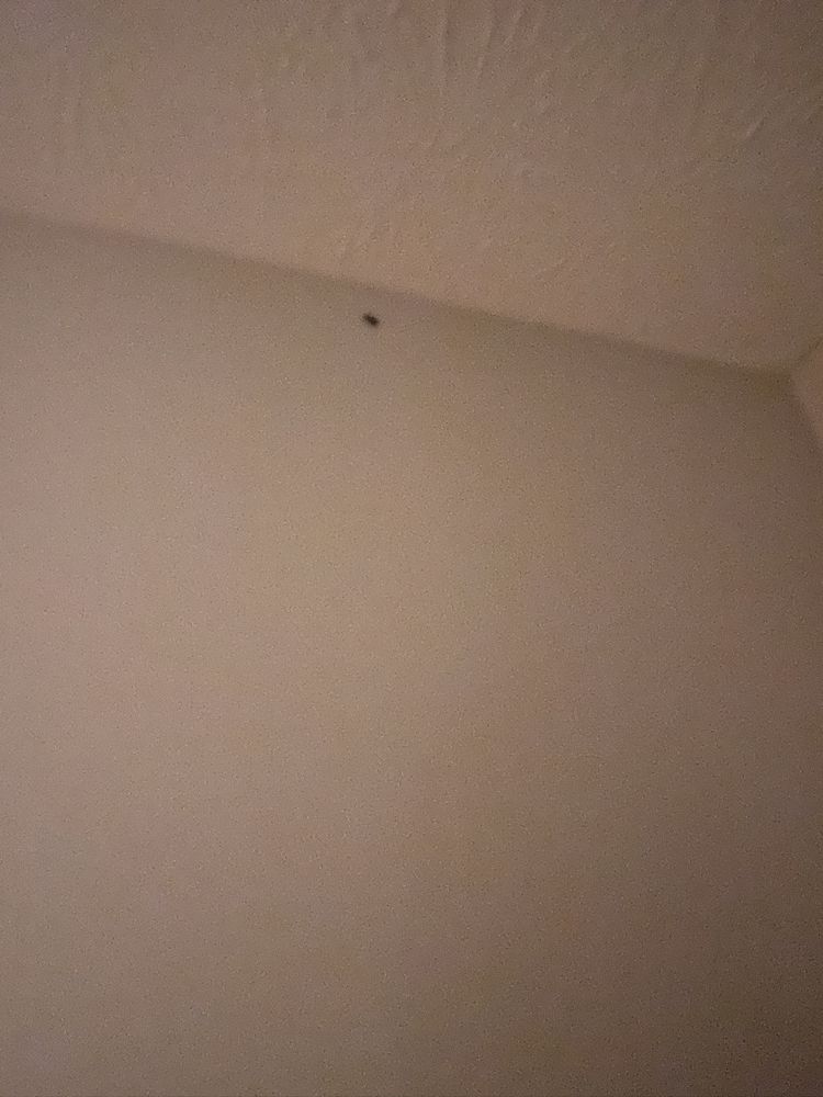 THE MASTERS APARTMENTS Updated October 2024 12 Photos 8975 Doral