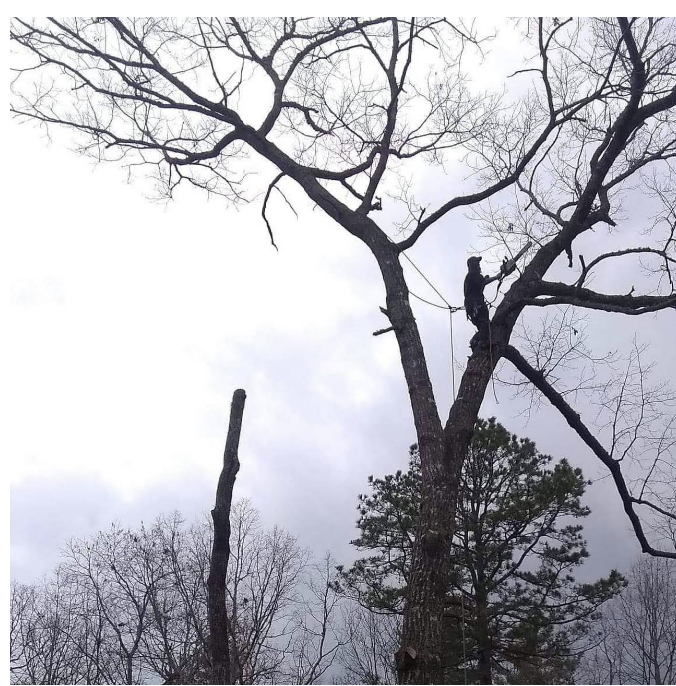 SCRAPPY’S TREE SERVICE Updated June 2024 110 Ulco Bluffs Dr