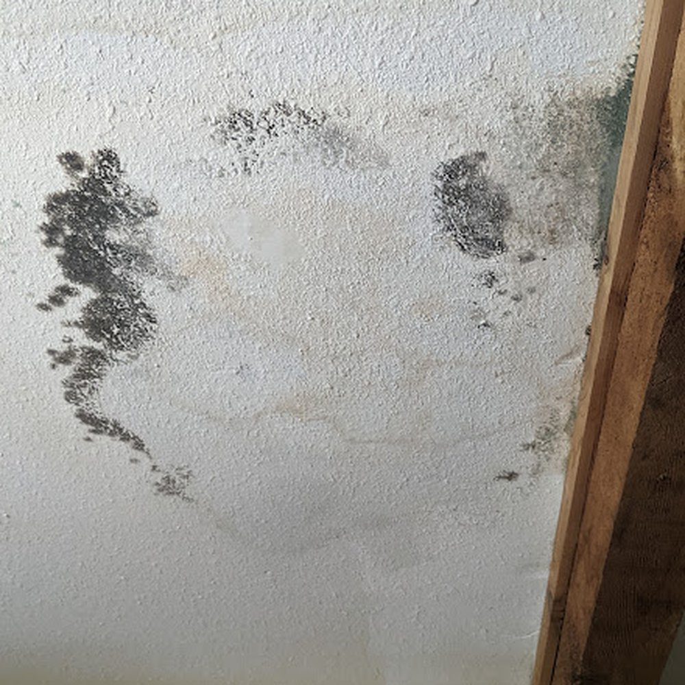 Rapalo Handyman Services - Electricians Near Me