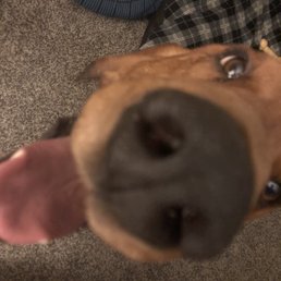 Duke Duke