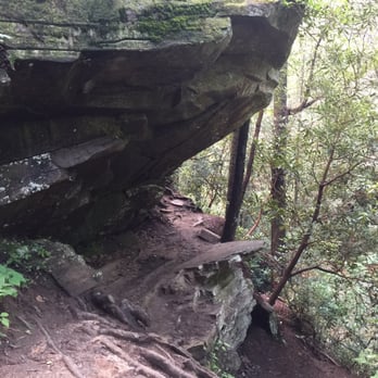 Panther Creek Recreation Area - Hiking Near Me