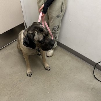 Curaleaf - Service animals approved - Cannabis Clinics Near Me - Lehi, Utah