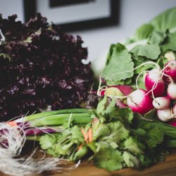 Better Food Farm - Organic produce haul