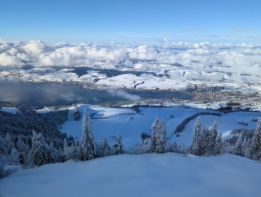 Rigi by null