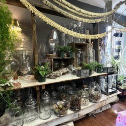 Greenology Organic Living