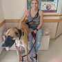 Photo of Boulevard Veterinary Hospital