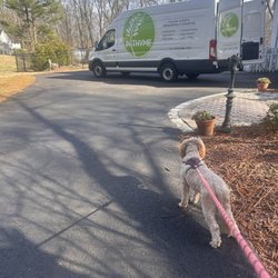 In Thyme - Even our puppy was excited when In Thyme arrived to set up!