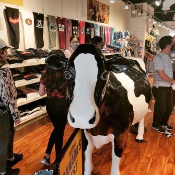COWS - There's a cow here of course! - Ice Cream & Frozen Yogurt Near Me - Niagara On the Lake, Ontario COWS - There's a cow here of course! - Ice Cream & Frozen Yogurt Near Me - Niagara On the Lake, Ontario