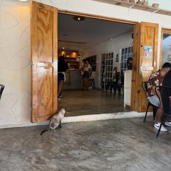 Local Coffee + Shop - Coffee & Tea Near Me - Puerto Morelos, ROO Local Coffee + Shop - Coffee & Tea Near Me - Puerto Morelos, ROO
