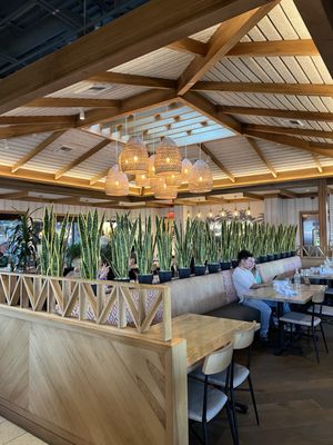 Pacific Catch by null