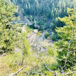 Bear Creek Ranch - This is a photo of a horseback riding location near the property.