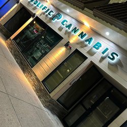 Prolific Cannabis Dispensary Boston - Allston - Prolific Cannabis Dispensary Boston - Allston