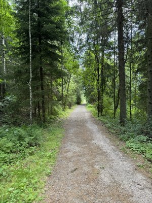 Nuuksio National Park by null