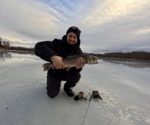 The Bait Shack by null