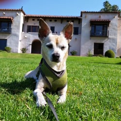 Miami Pet Sitters