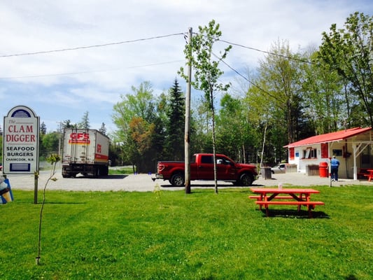 The Clam Digger by null