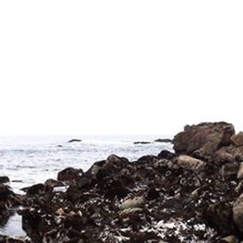 Salt Point State Park - Parks Near Me - Jenner, California