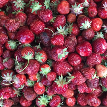 Barthel Fruit Farm - Very happy with what I was able to pick! - Fruits & Veggies Near Me - Mequon, Wisconsin