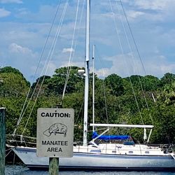 Anclote River Park - "manatee sighting area"