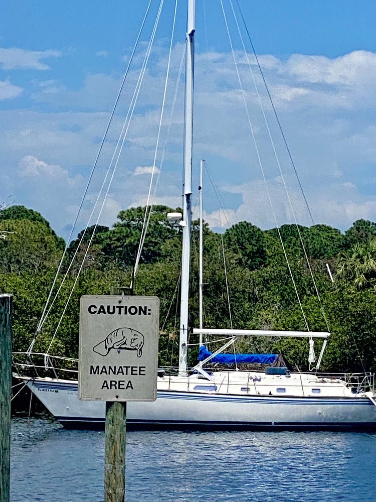 Anclote River Park Image