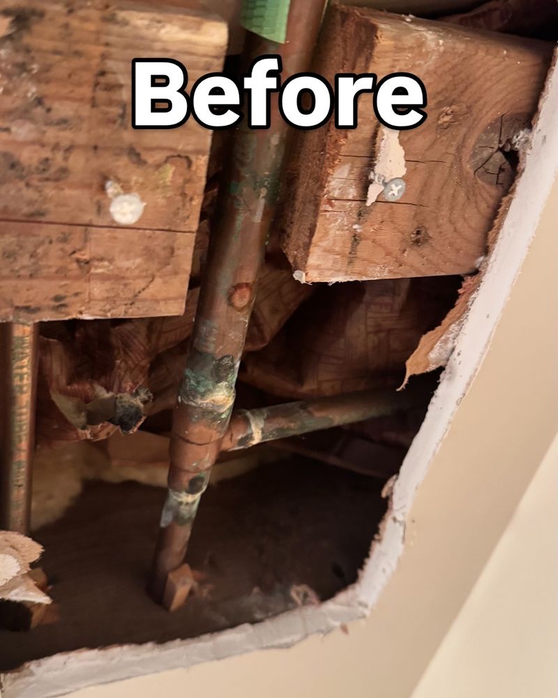 Slide of Peregrina Plumbing Company