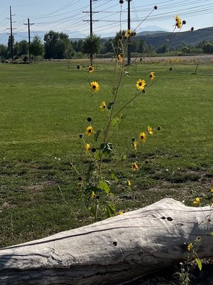 River's Edge Resort at Heber Valley