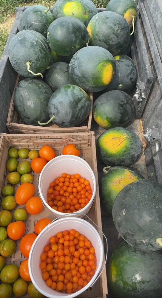 THE FARMSTEAD MARKET Updated September 2024 28620 Ebenhack Rd