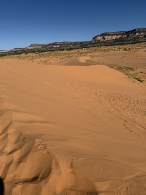 Coral Pink Sand Dunes State Park by null