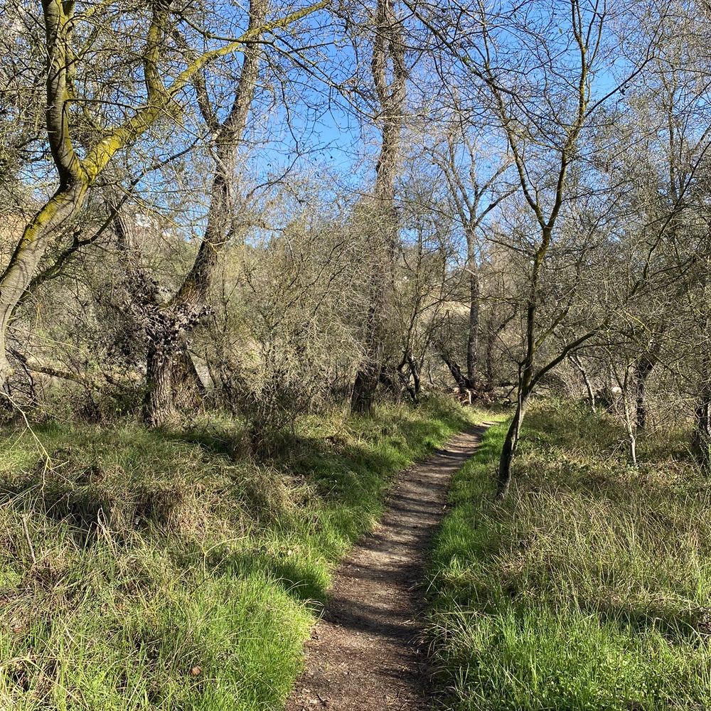 Fair Oaks Bluff/Park Reserve - Little Trail - Hiking Near Me - Fair Oaks, California Fair Oaks Bluff/Park Reserve - Little Trail - Hiking Near Me - Fair Oaks, California