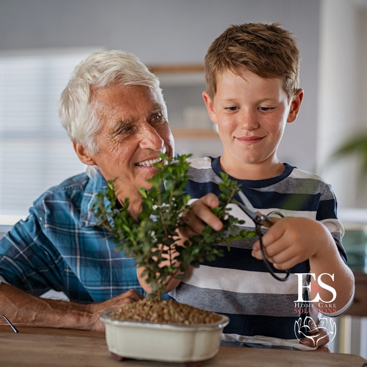 E & S Home Care Solutions - Lawrenceville - home care agency in Lawrence Township, NJ