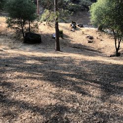 Peter Fischer Construction - Yard cleanup