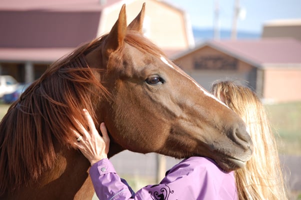 Gypsy Wind Ranch - grief counselor in Monument, CO