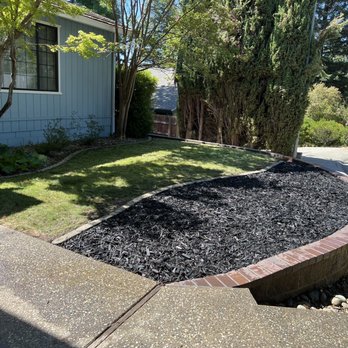 Patino landscaping - After - Landscaping Near Me