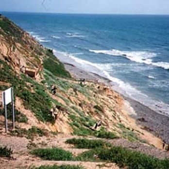 Beacon's Beach - Beacon's: Only a local could love - Beaches Near Me - Encinitas, California