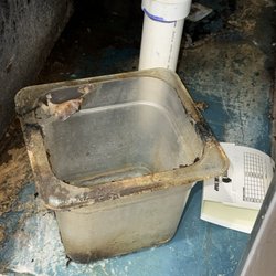 Dunkin' - Black mold