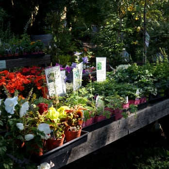 Whispering Winds Nursery - Reasonable prices, large selection - Nurseries & Gardening Near Me - Ukiah, California