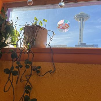 Psychedelic Lens - Views from the solar lounge - Arts & Crafts Near Me - Seattle, Washington