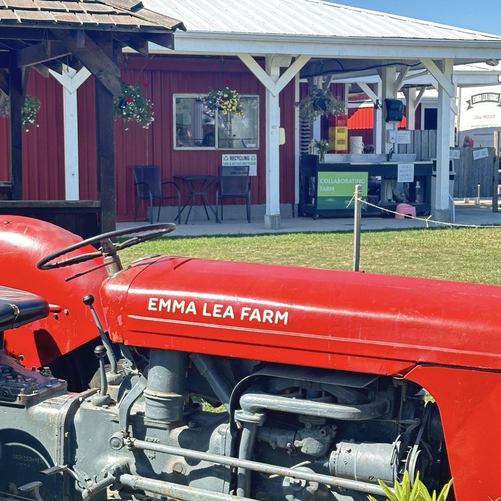 Emma Lea Farms - Emma Lea Farm - Fruits & Veggies Near Me - Delta, British Columbia