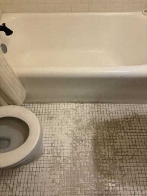 The Holland Hotel by null