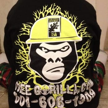 Treegorilla Tree Care Experts - Tree Services Near Me - Lonoke, Arkansas Treegorilla Tree Care Experts - Tree Services Near Me - Lonoke, Arkansas