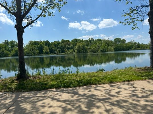 Lake Artemesia Natural Area by null