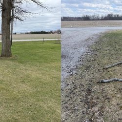 Artisan Acres Landscaping - After and before of yard clean up of hickory nuts