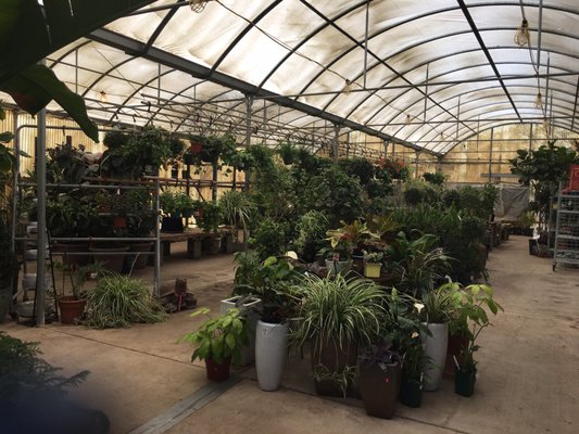 Whitfill Nursery 820 N Cooper Rd Gilbert Az Garden Centers Mapquest 820 N Cooper Rd Gilbert Az