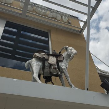 Rodeo Goat - Cute Goat art - Bars Near Me - Fort Worth, Texas Rodeo Goat - Cute Goat art - Bars Near Me - Fort Worth, Texas